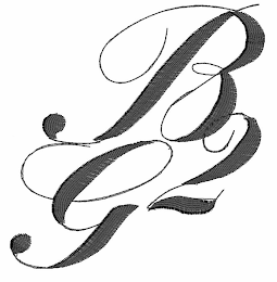 B2G logo
