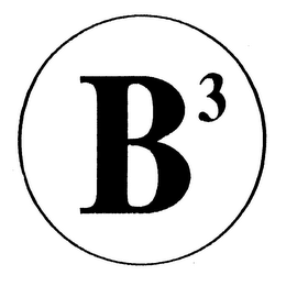 B3 logo
