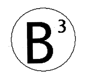B3 logo