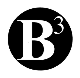 B3 logo