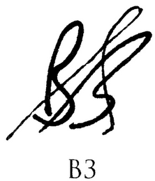 B3 logo
