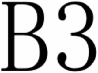 B3 logo
