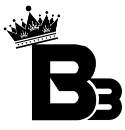 B3 logo
