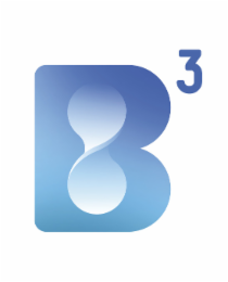 B3 logo