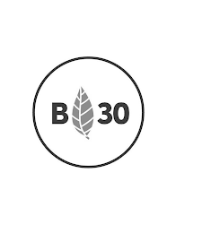 B30 logo