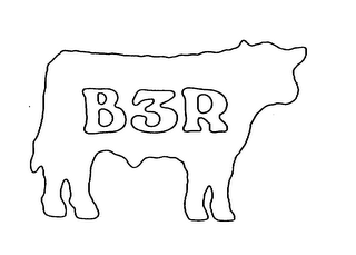 B3R logo