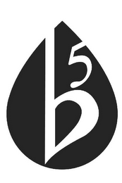 B5 logo