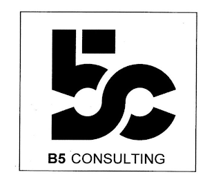 B5C B5 CONSULTING logo