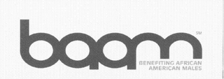 BAAM BENEFITING AFRICAN AMERICAN MALES logo