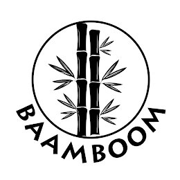 BAAMBOOM logo