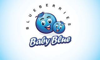 BABY BLUE BLUEBERRIES logo