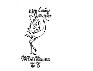 BABY CRANE WHITE CRANE T C logo