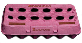 BACHOCO logo