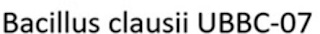 BACILLUS CLAUSII UBBC-07 logo