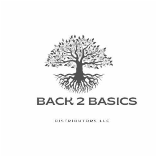 BACK 2 BASICS DISTRIBUTORS LLC logo