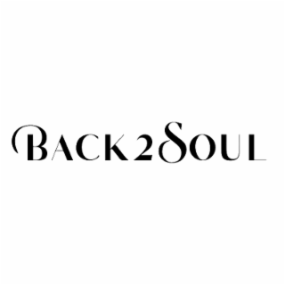 BACK 2 SOUL logo