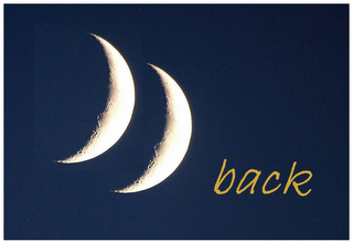 BACK logo