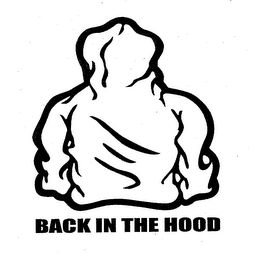 BACK IN THE HOOD logo