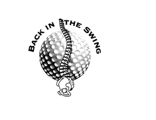 BACK IN THE SWING logo