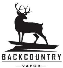 BACKCOUNTRY VAPOR logo