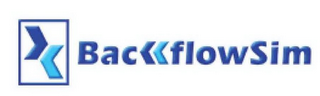 BACKFLOWSIM logo