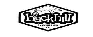 BACKHILL SNOWBOARDING CO. logo