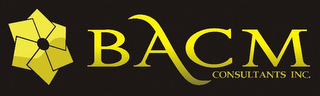 BACM CONSULTANTS INC. logo