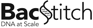 BACSTITCH DNA AT SCALE logo