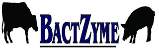 BACTZYME logo