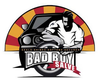 BAD BOY SALVE SEALS · SHINES · SOFTENS · SECURES logo