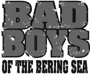 BAD BOYS OF THE BERING SEA logo