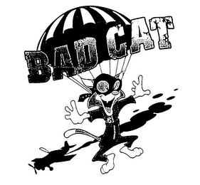 BAD CAT logo