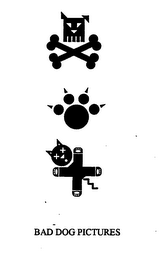 BAD DOG PICTURES logo