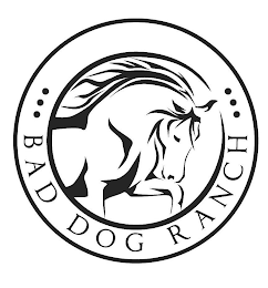 BAD DOG RANCH logo