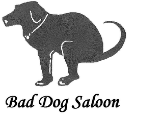BAD DOG SALOON logo