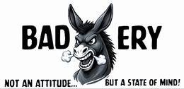 BAD ERY. NOT AN ATTITUDE… BUT A STATE OF MIND! logo