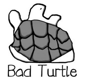 BAD TURTLE logo