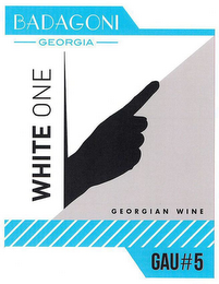 BADAGONI GEORGIA GEORGIAN WINE WHITE ONE GAU#5 logo