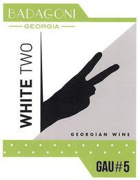 BADAGONI GEORGIA GEORGIAN WINE WHITE TWO GAU#5 logo