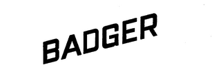 BADGER logo