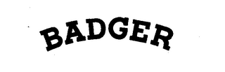 BADGER logo