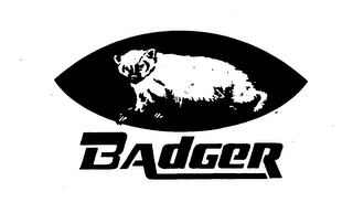 BADGER logo