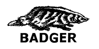 BADGER logo