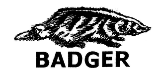 BADGER logo