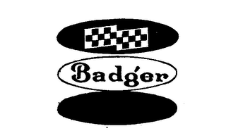 BADGER logo