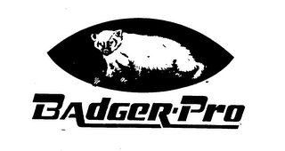 BADGER-PRO logo
