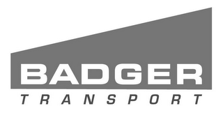 BADGER TRANSPORT logo