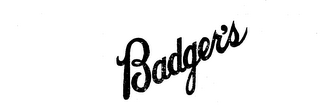 BADGER'S logo
