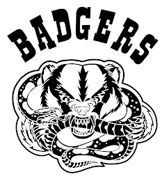 BADGERS logo