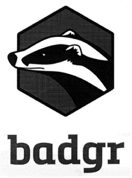 BADGR